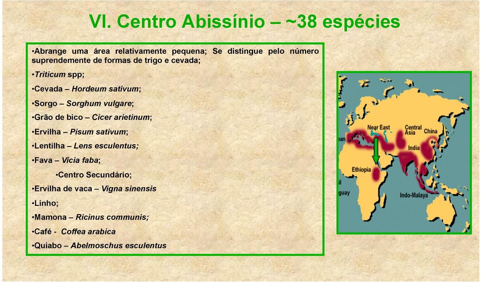 Grão de bico Cicer arietinum; Ervilha Pisum sativum; Lentilha Lens esculentus; Fava Vicia faba; Centro