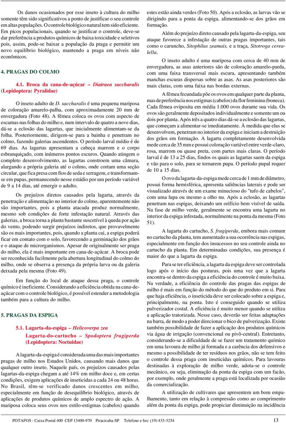 novo equilíbrio biológico, mantendo a praga em níveis não econômicos. 4. PRAGAS DO COLMO 4.1. Broca da cana-de-açúcar Diatraea saccharalis (Lepidoptera: Pyralidae) O inseto adulto de D.