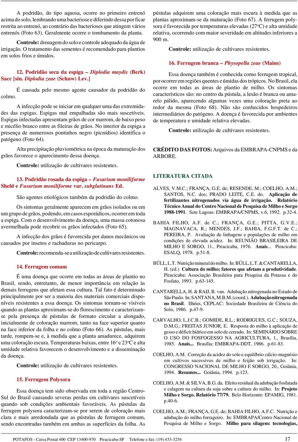 O tratamento das sementes é recomendado para plantios em solos frios e úmidos. 12. Podridão seca da espiga Diplodia maydis (Berk) Sacc [sin. Diplodia zeae (Schuw) Lev.