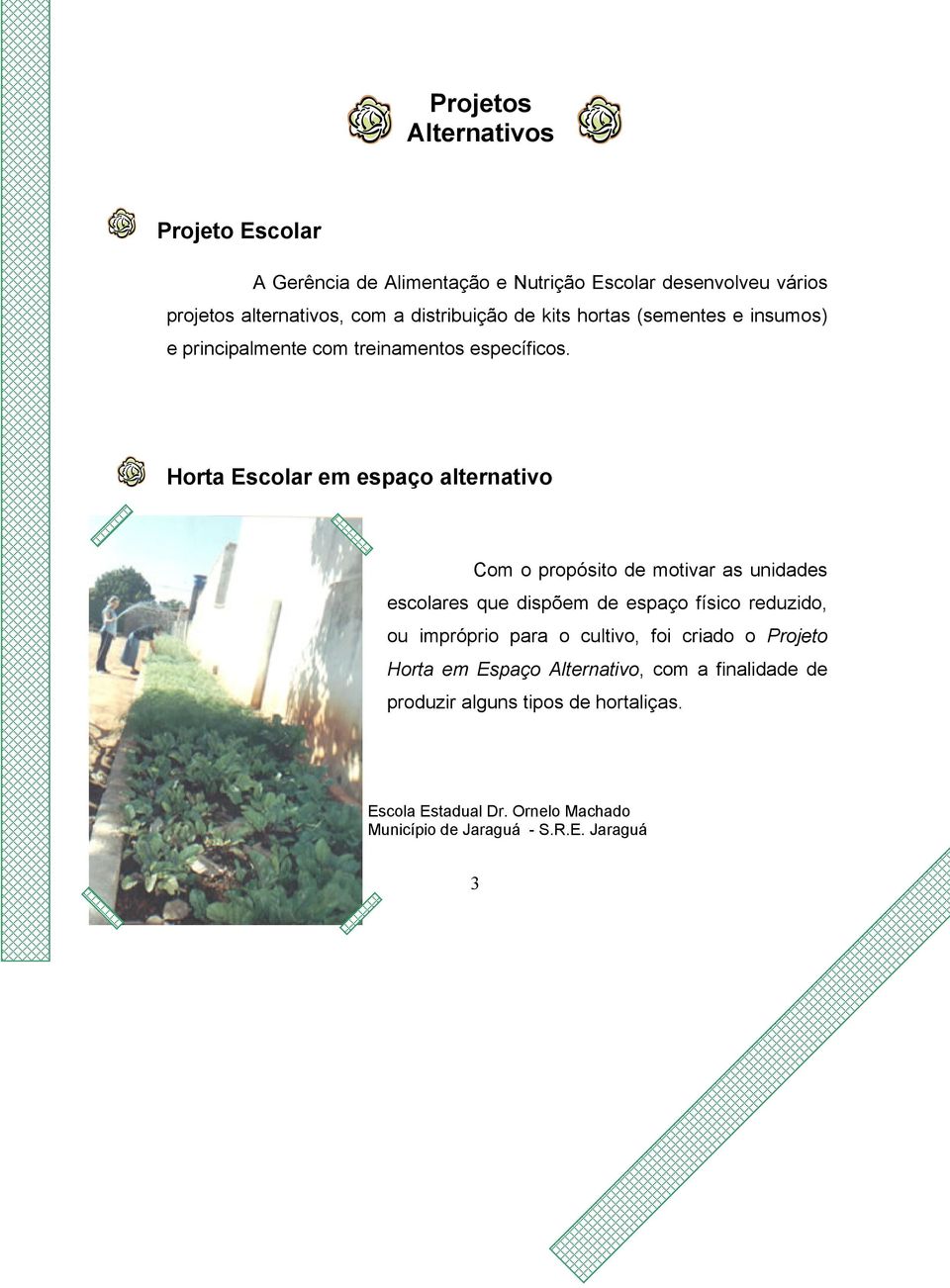 Horta Escolar em espaço alternativo Com o propósito de motivar as unidades escolares que dispõem de espaço físico reduzido, ou impróprio