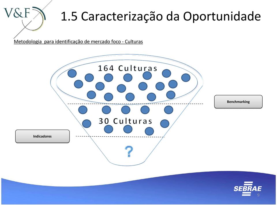 identificação de mercado foco