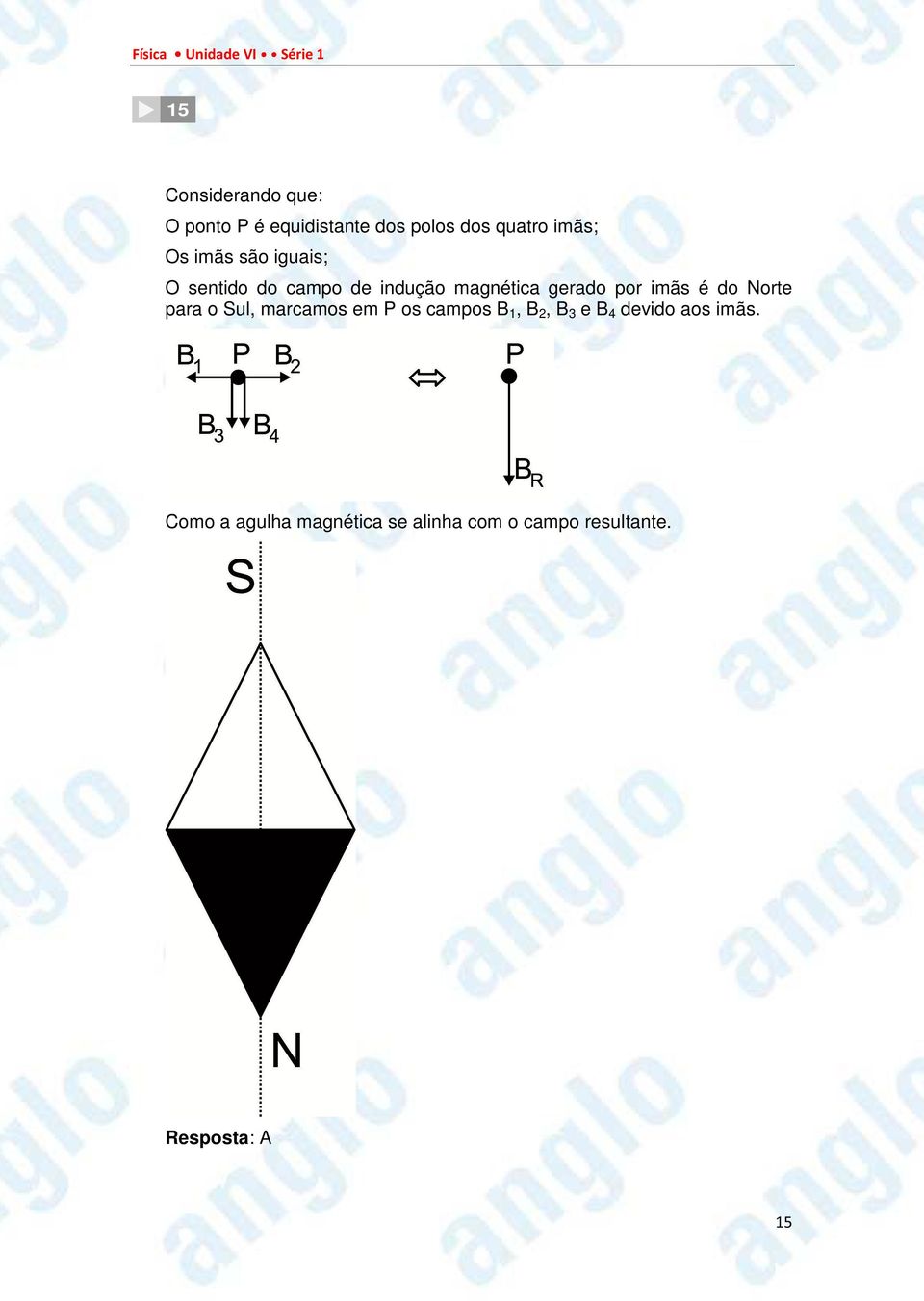 do Norte para o Sul, marcamos em P os campos B 1, B 2, B 3 e B 4 devido aos