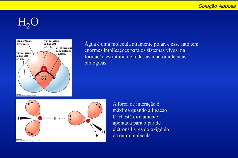 macromoléculas biológicas.