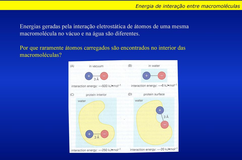 macromolécula no vácuo e na água são diferentes.