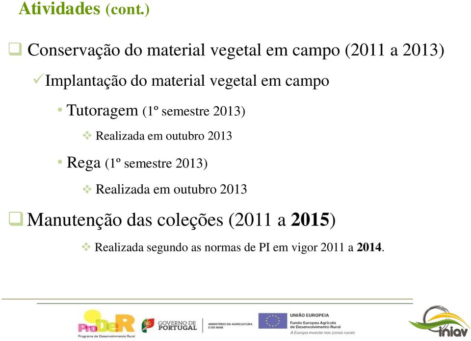 material vegetal em campo Tutoragem (1º semestre 2013) Realizada em outubro