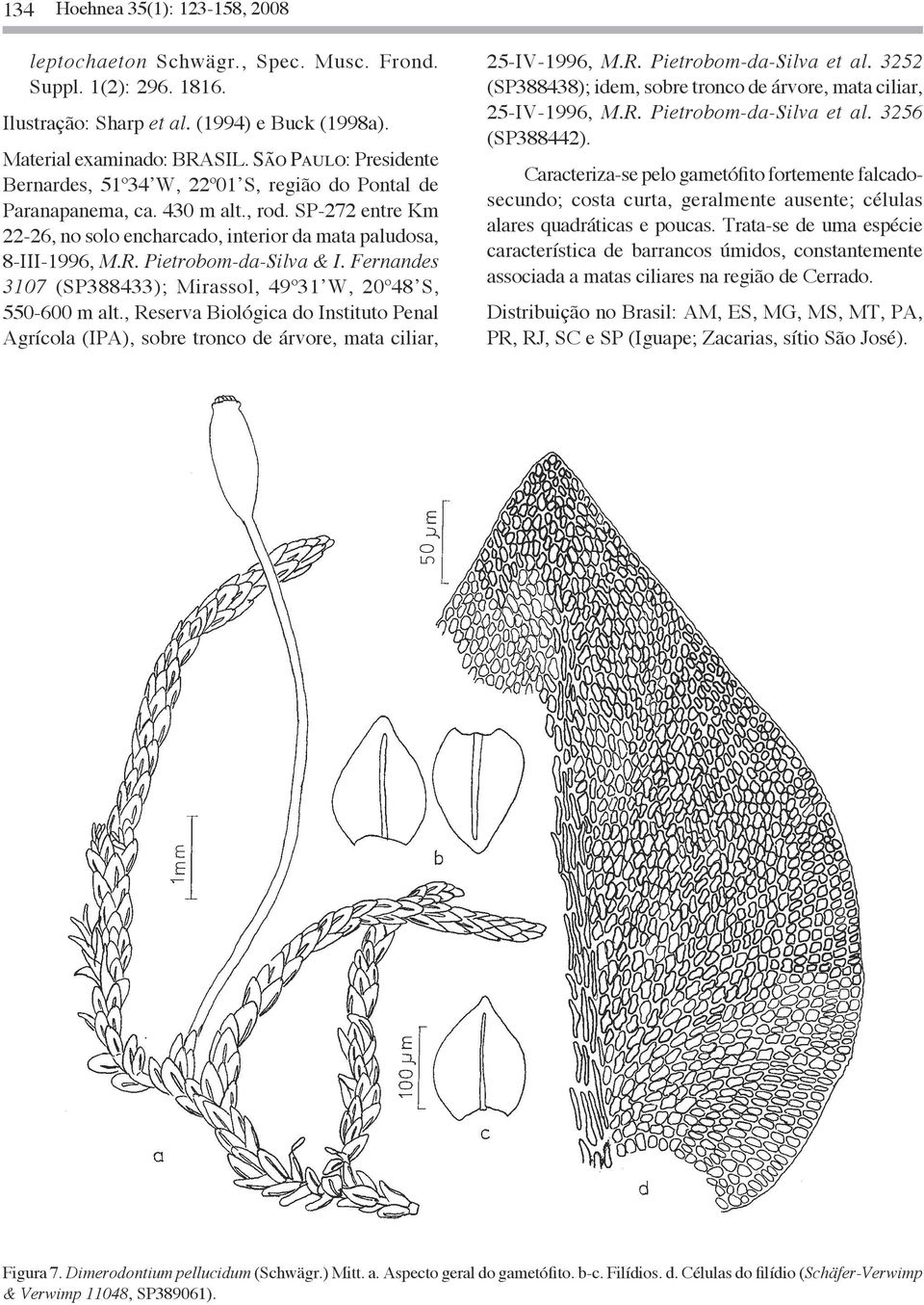 Pietrobom-da-Silva & I. Fernandes 3107 (SP388433); Mirassol, 49º31 W, 20º48 S, 550-600 m alt., Reserva Biológica do Instituto Penal Agrícola (IPA), sobre tronco de árvore, mata ciliar, 25-IV-1996, M.