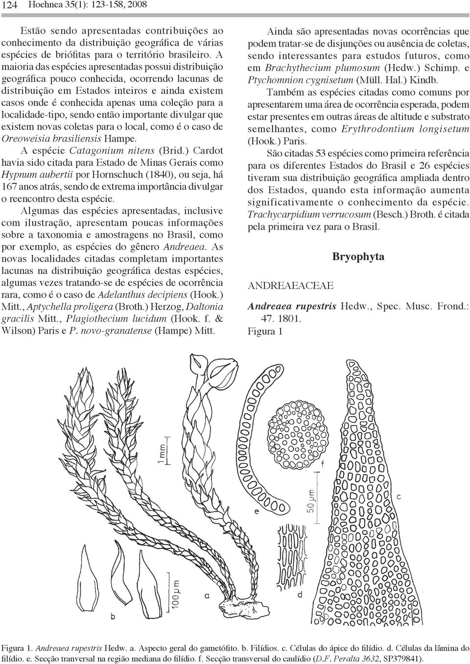 para a localidade-tipo, sendo então importante divulgar que existem novas coletas para o local, como é o caso de Oreoweisia brasiliensis Hampe. A espécie Catagonium nitens (Brid.