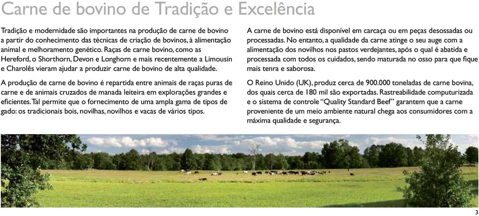 A produção de carne de bovino é repartida entre animais de raças puras de carne e de animais cruzados de manada leiteira em explorações grandes e eficientes.