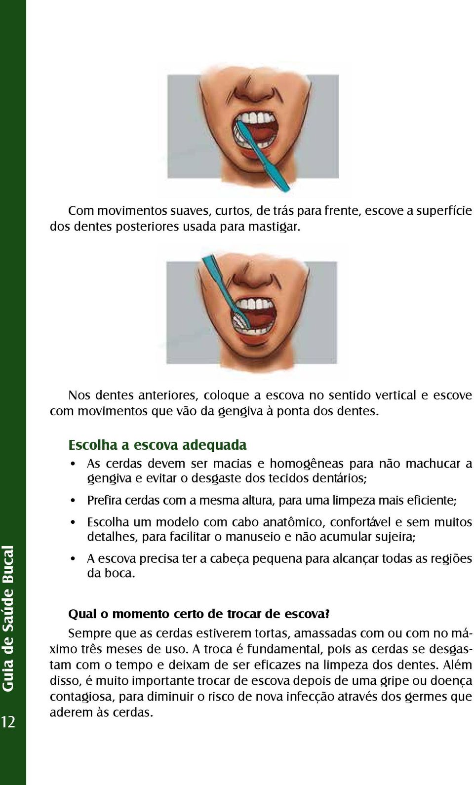 Escolha a escova adequada As cerdas devem ser macias e homogêneas para não machucar a gengiva e evitar o desgaste dos tecidos dentários; Prefira cerdas com a mesma altura, para uma limpeza mais