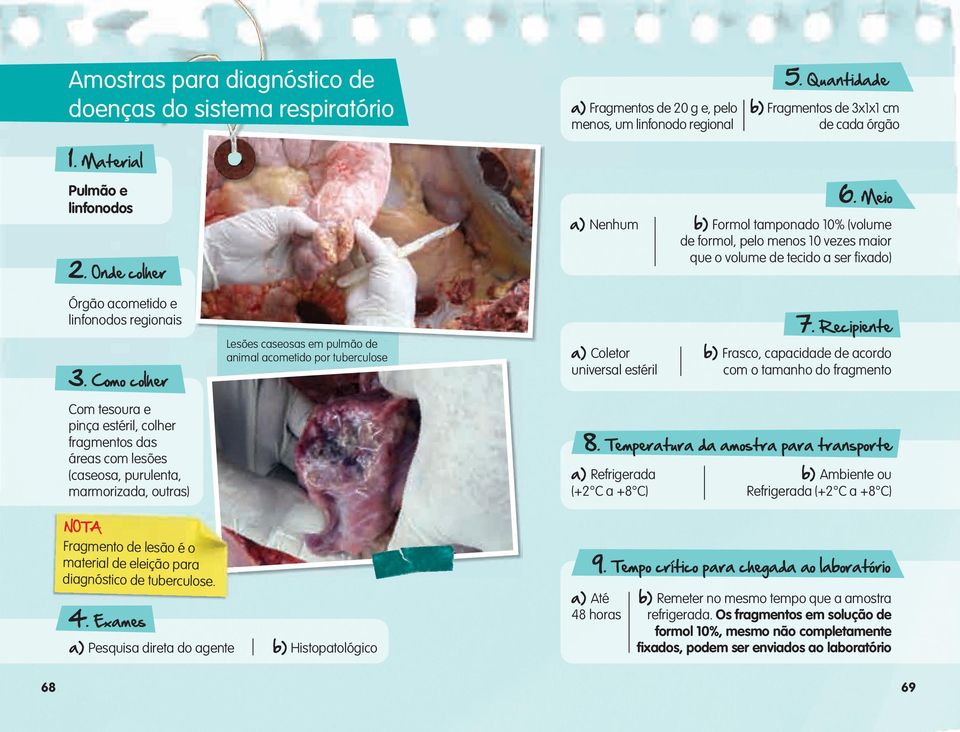 Meio b) Formol tamponado 10% (volume de formol, pelo menos 10 vezes maior que o volume de tecido a ser fi xado) Órgão acometido e linfonodos regionais 3.