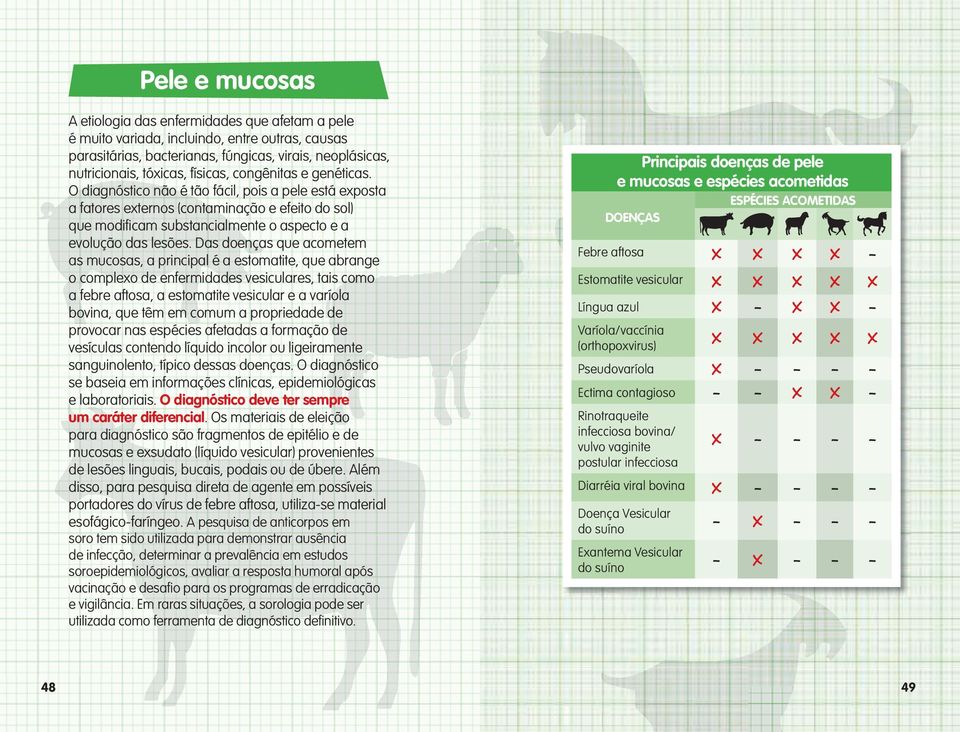 O diagnóstico não é tão fácil, pois a pele está exposta a fatores externos (contaminação e efeito do sol) que modifi cam substancialmente o aspecto e a evolução das lesões.