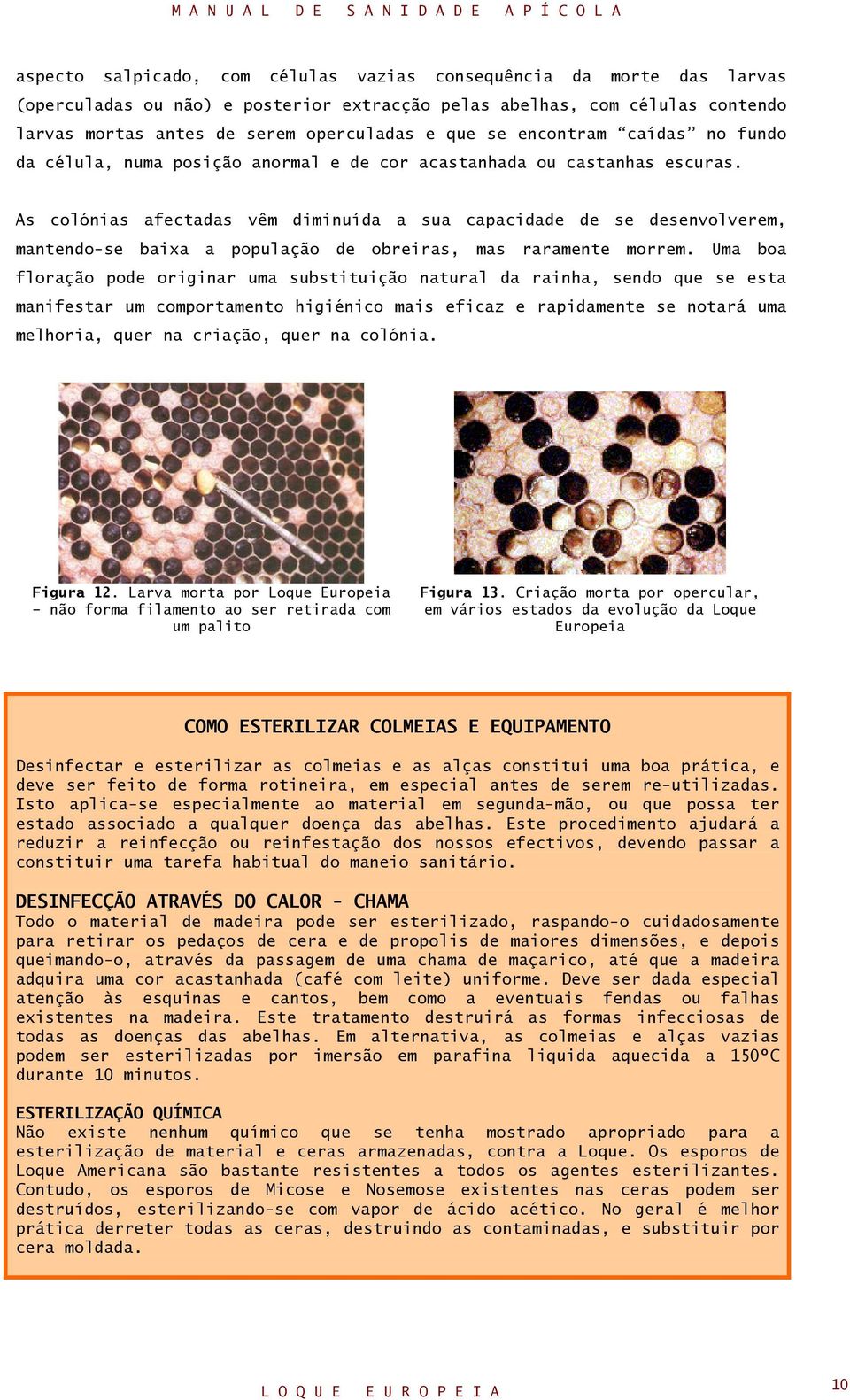 As colónias afectadas vêm diminuída a sua capacidade de se desenvolverem, mantendo-se baixa a população de obreiras, mas raramente morrem.