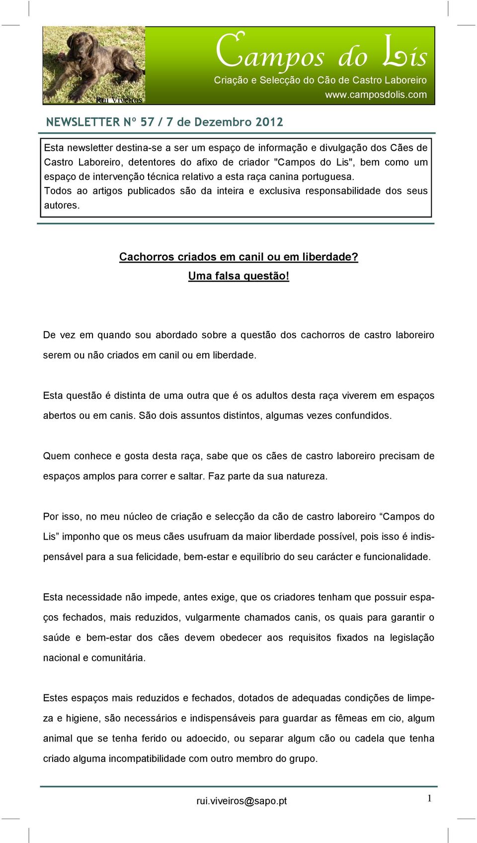 Uma falsa questão! De vez em quando sou abordado sobre a questão dos cachorros de castro laboreiro serem ou não criados em canil ou em liberdade.