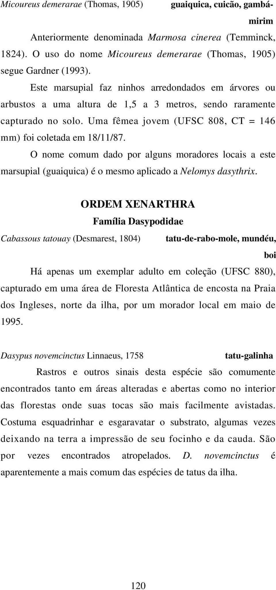 O nome comum dado por alguns moradores locais a este marsupial (guaiquica) é o mesmo aplicado a Nelomys dasythrix.