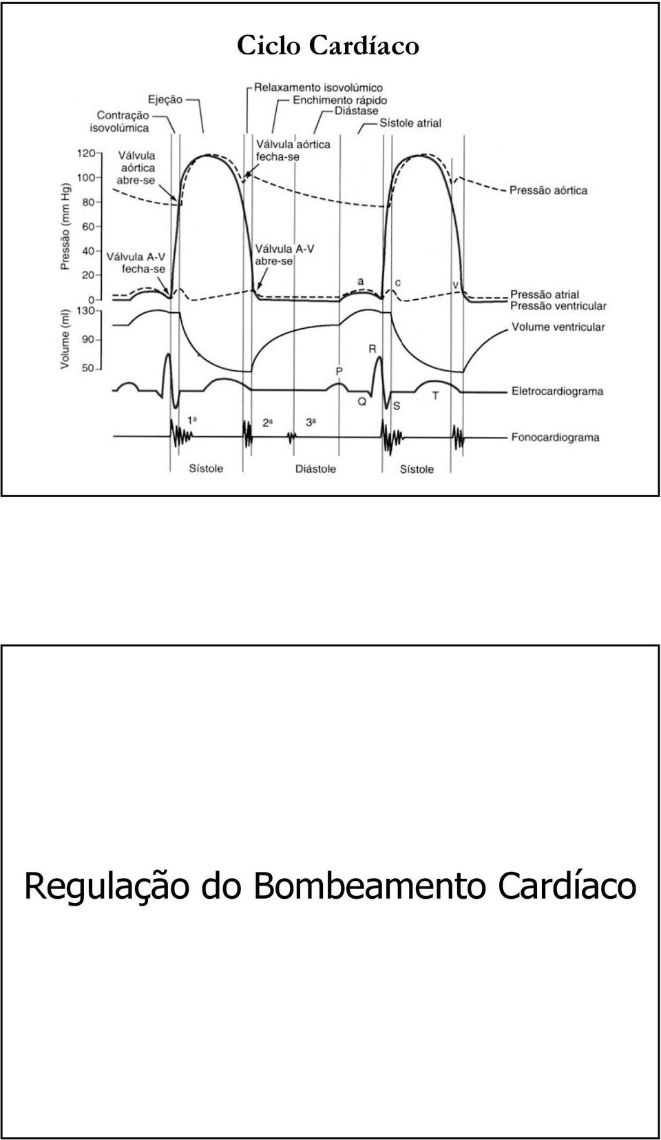 Regulação