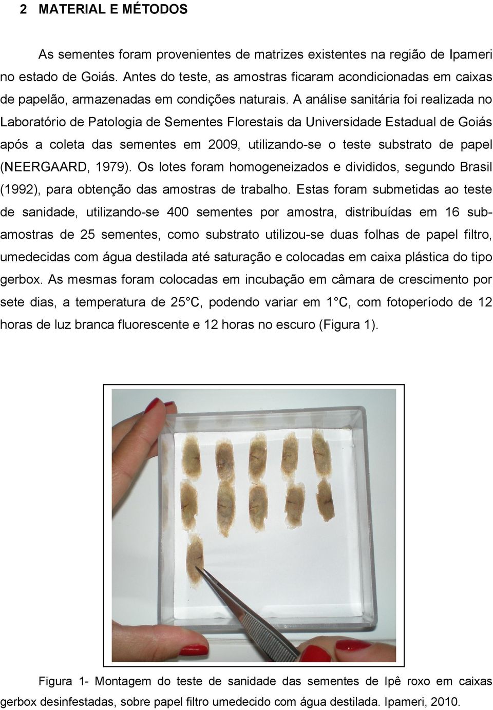 A análise sanitária foi realizada no Laboratório de Patologia de Sementes Florestais da Universidade Estadual de Goiás após a coleta das sementes em 2009, utilizando-se o teste substrato de papel