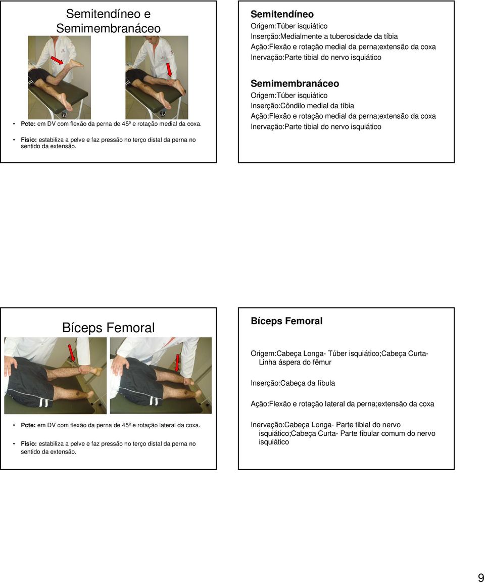 Semimembranáceo Origem:Túber isquiático Inserção:Côndilo medial da tíbia Ação:Flexão e rotação medial da perna;extensão da coxa Inervação:Parte tibial do nervo isquiático Fisio: estabiliza a pelve e