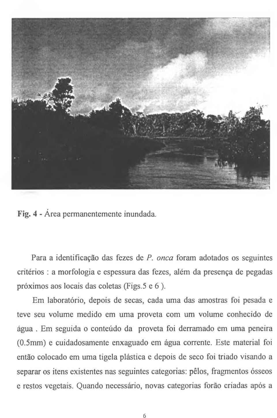 Em laboratório, depois de secas, cada uma das amostras foi pesada e teve seu volume medido em uma proveta com um volume conhecido de água.