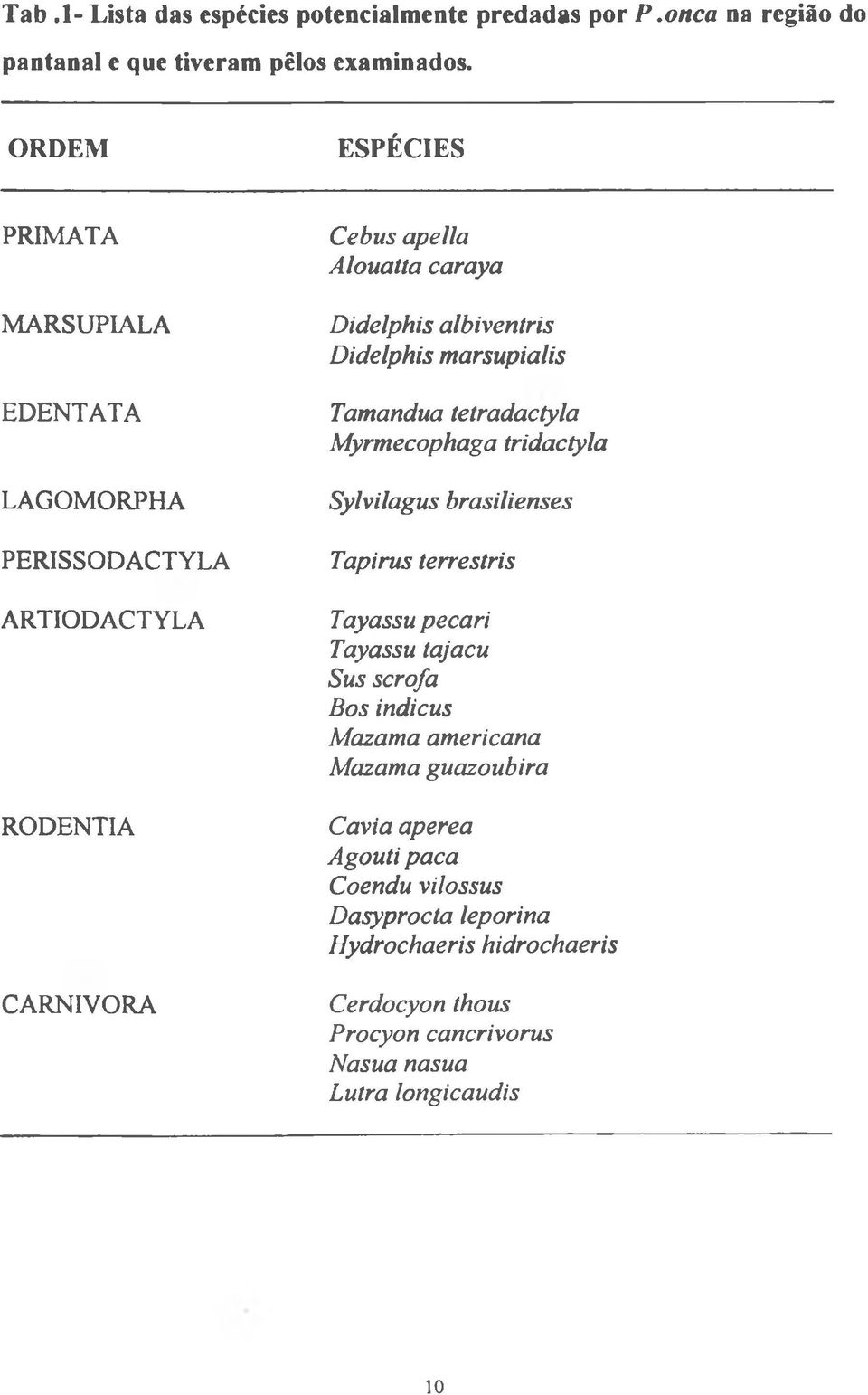 albiventris Didelphis marsupialis Tamandua tetradactyla Myrmecophaga tridactyla Sylvilagus brasilienses Tapirus terrestris Tayassu pécari Tayassu tajacu Sus