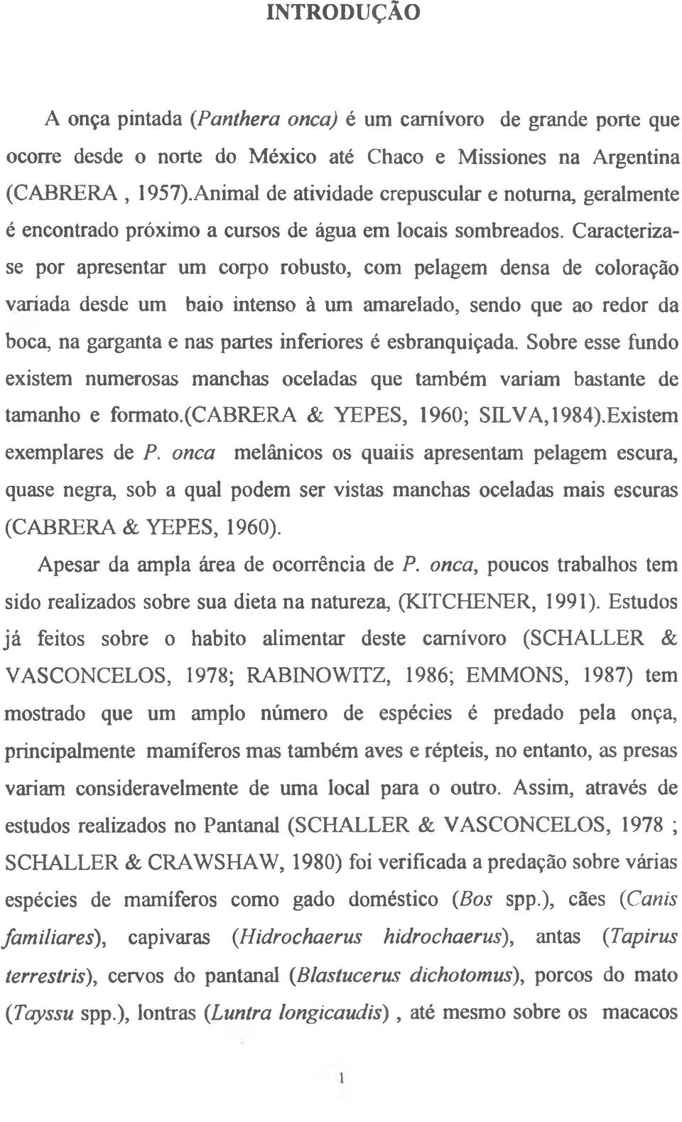 Caracterizase por apresentar um corpo robusto, com pelagem densa de coloração variada desde um baio intenso à um amarelado, sendo que ao redor da boca, na garganta e nas partes inferiores é