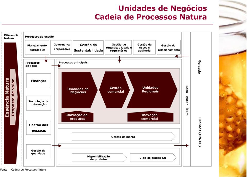 de apoio Finanças Tecnologia da informação Gestão das pessoas Processos principais Unidades de Negócios Inovação de produtos Gestão comercial Gestão da marca