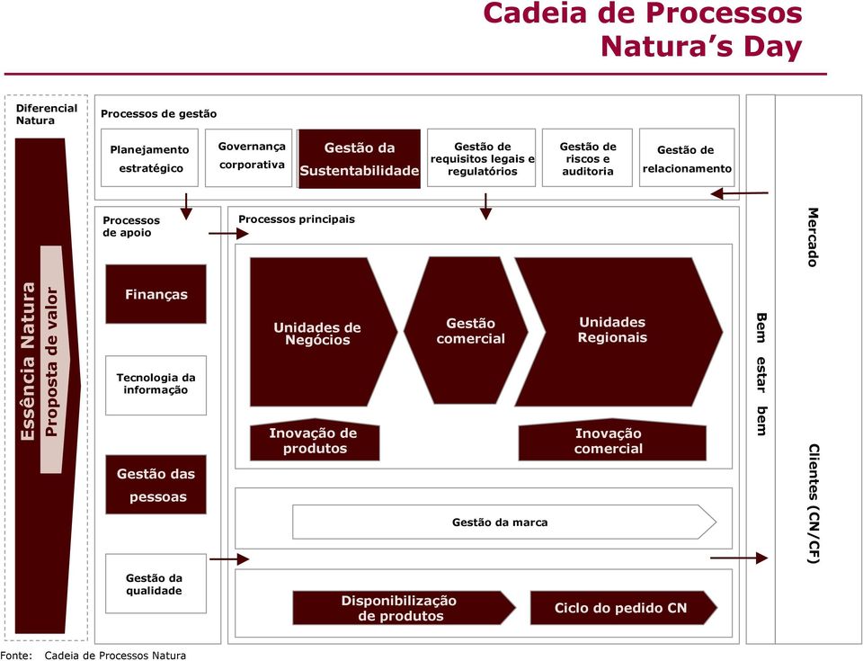 Tecnologia da informação Gestão das pessoas Processos principais Unidades de Negócios Inovação de produtos Gestão comercial Gestão da marca Unidades