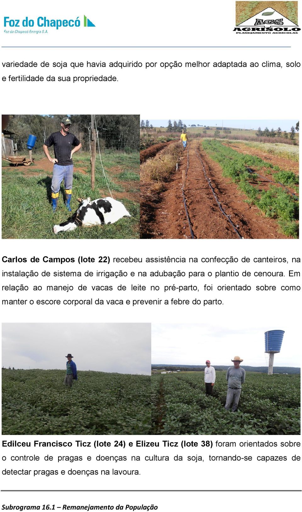 cenoura. Em relação ao manejo de vacas de leite no pré-parto, foi orientado sobre como manter o escore corporal da vaca e prevenir a febre do parto.