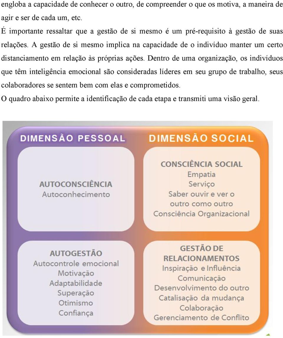 A gestão de si mesmo implica na capacidade de o indivíduo manter um certo distanciamento em relação às próprias ações.