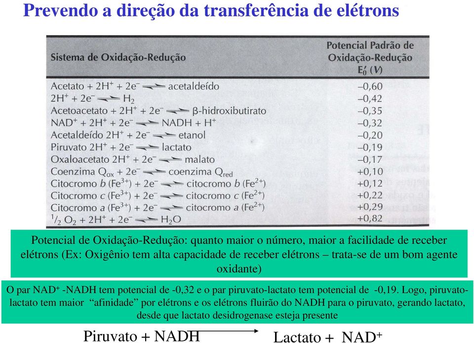 potencial de -0,32 e o par piruvato-lactato tem potencial de -0,19.