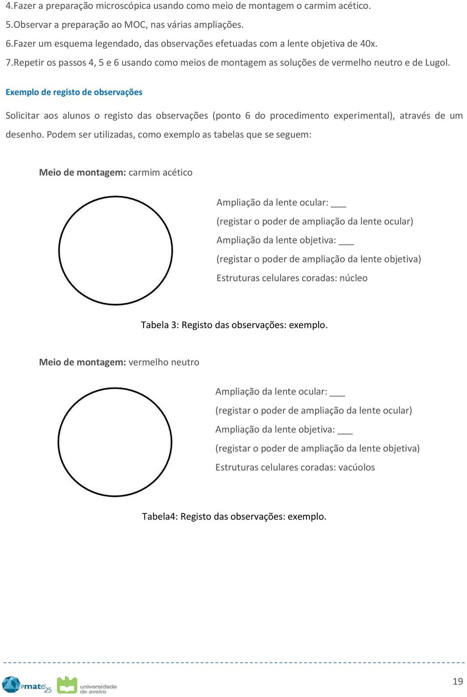 Exemplo de registo de observações Solicitar aos alunos o registo das observações (ponto 6 do procedimento experimental), através de um desenho.