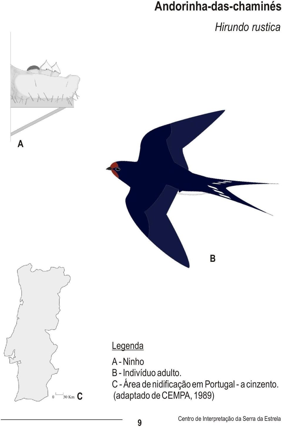 C - Área de nidificação em Portugal - a cinzento.