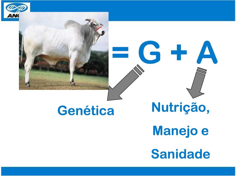 Nutrição,