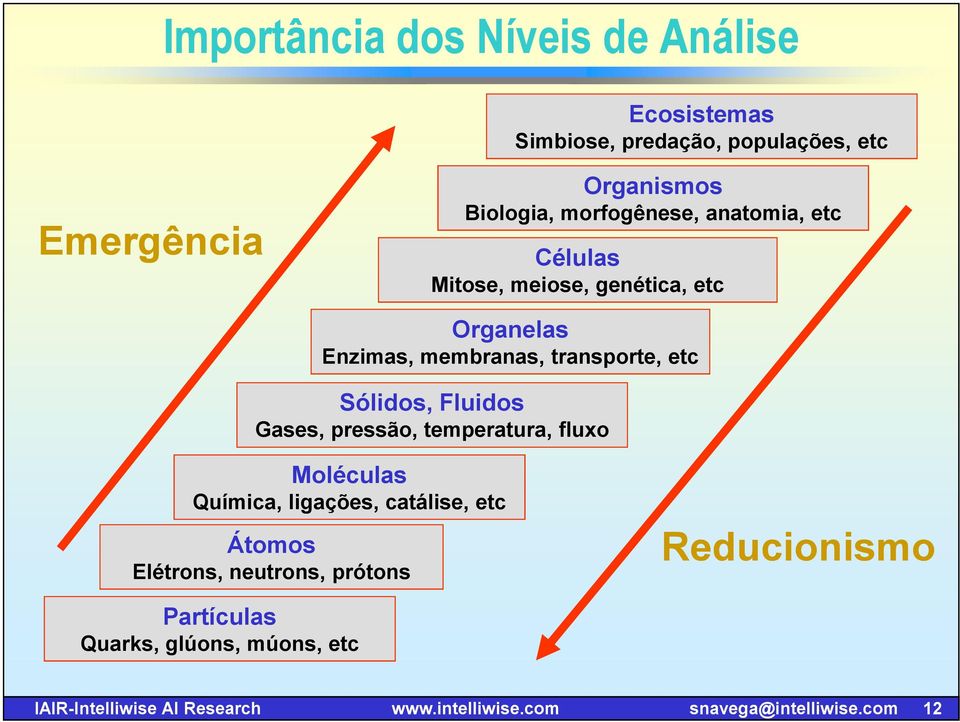 Fluidos Gases, pressão, temperatura, fluo Moléculas Química, ligações, catálise, etc Átomos Elétrons, neutrons, prótons