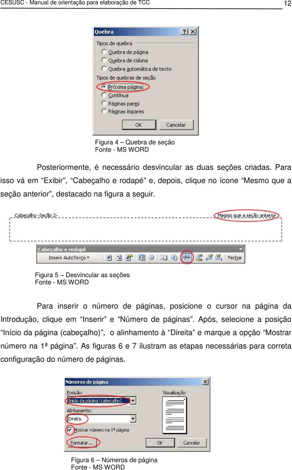 Figura 5 Desvincular as seções Fonte - MS WORD Para inserir o número de páginas, posicione o cursor na página da Introdução, clique em Inserir e Número de páginas.