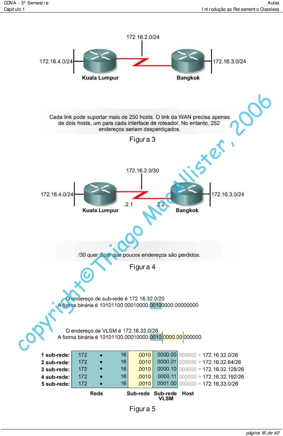 Figura 5