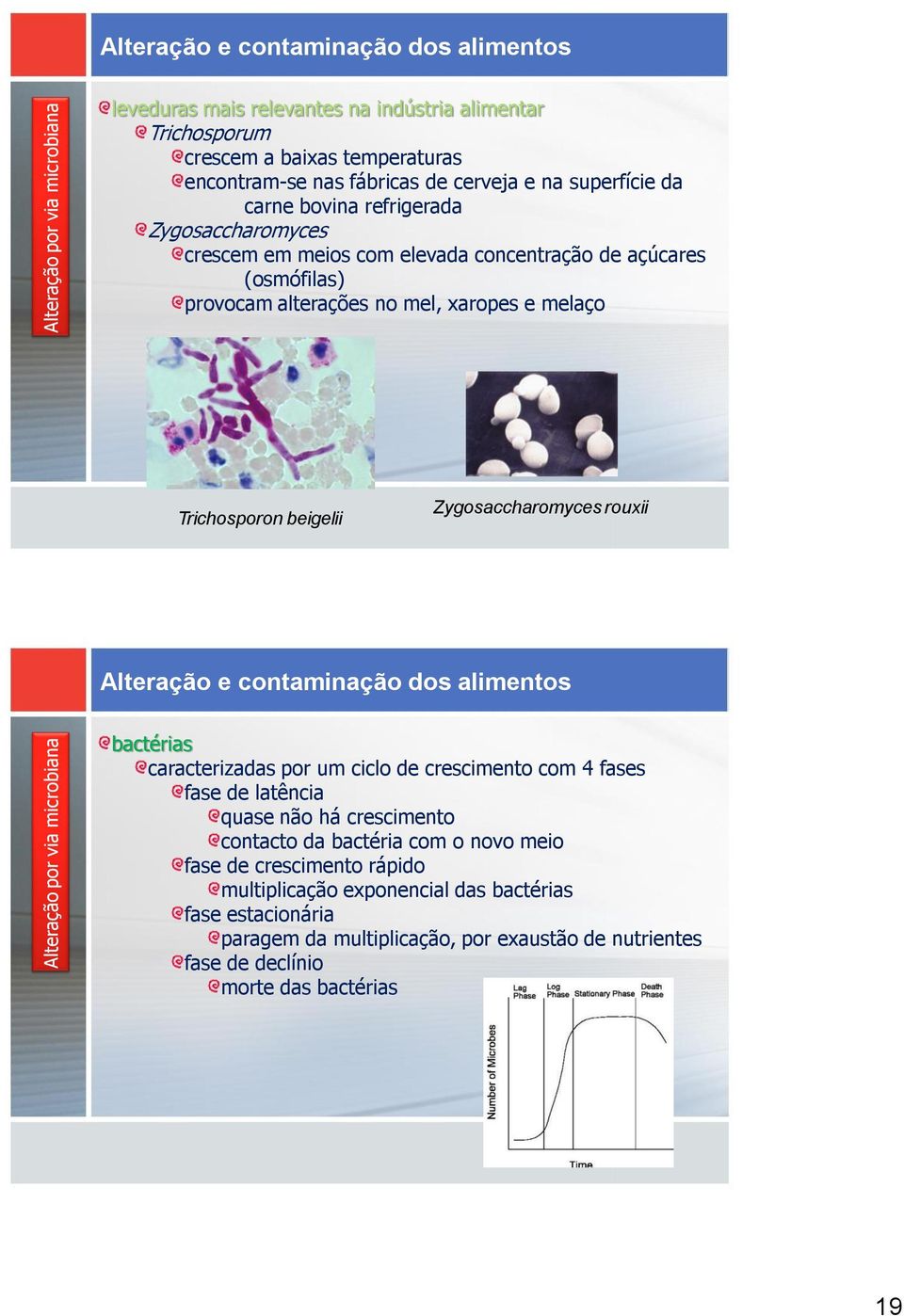 Zygosaccharomyces rouxii bactérias caracterizadas por um ciclo de crescimento com 4 fases fase de latência quase não há crescimento contacto da bactéria com o novo