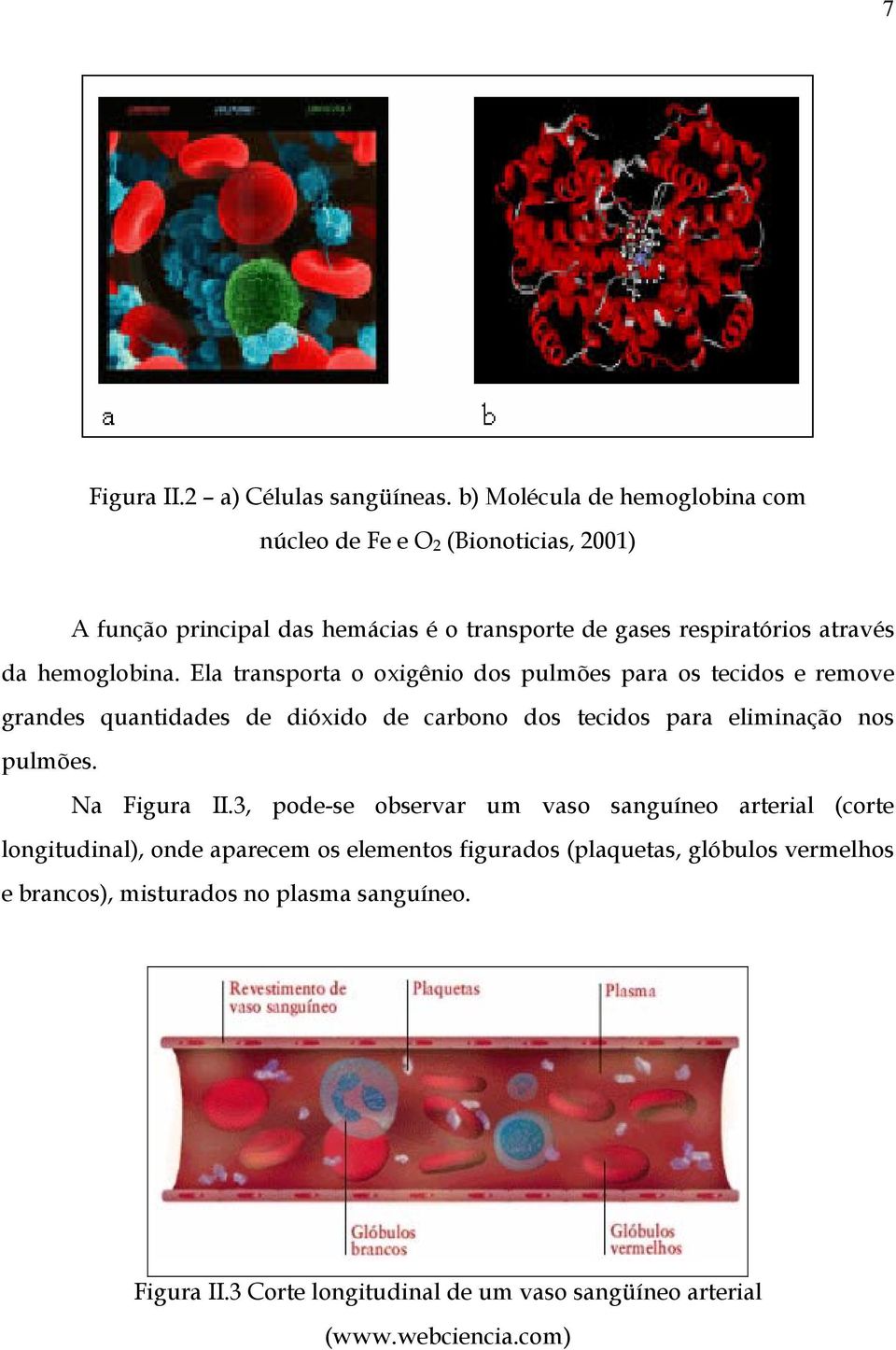 hemoglobina.