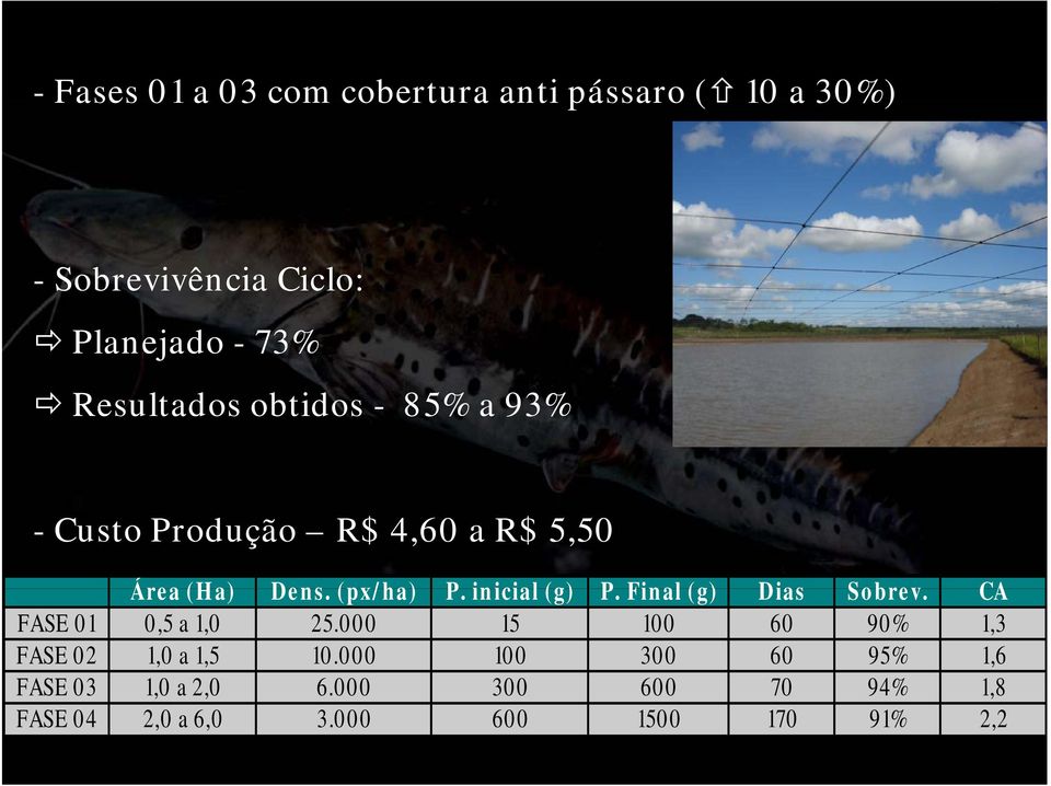 inicial (g) P. Final (g) Dias Sobrev. CA FASE 01 0,5 a 1,0 25.