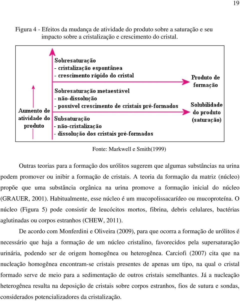 A teoria da formação da matriz (núcleo) propõe que uma substância orgânica na urina promove a formação inicial do núcleo (GRAUER, 2001).