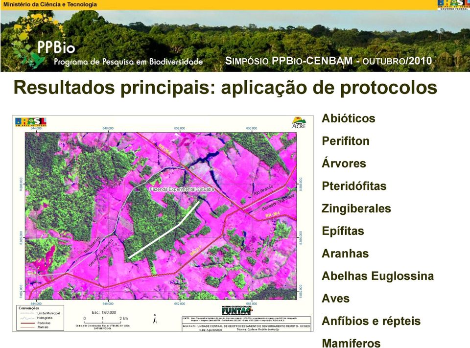 protocolos Abióticos Perifiton Árvores Pteridófitas