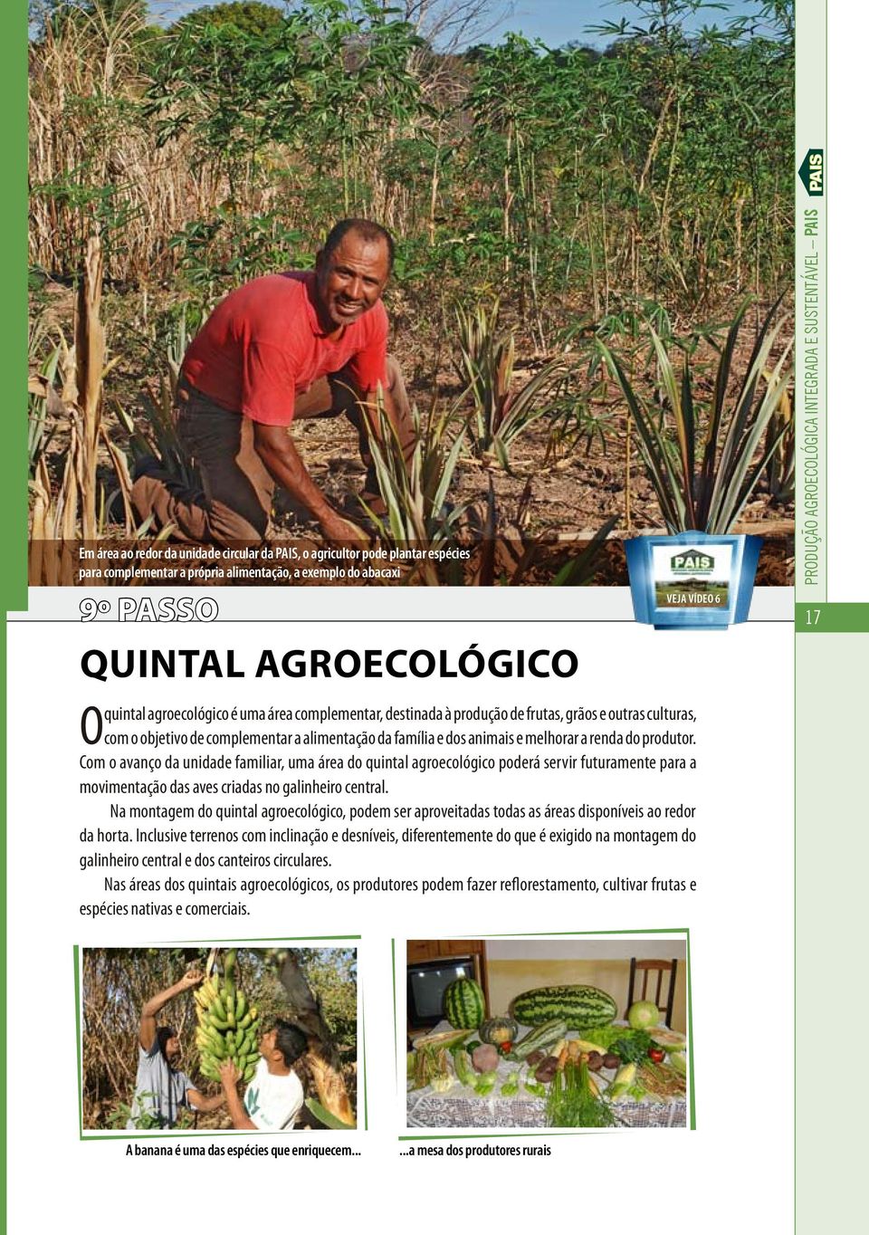 Com o avanço da unidade familiar, uma área do quintal agroecológico poderá servir futuramente para a movimentação das aves criadas no galinheiro central.