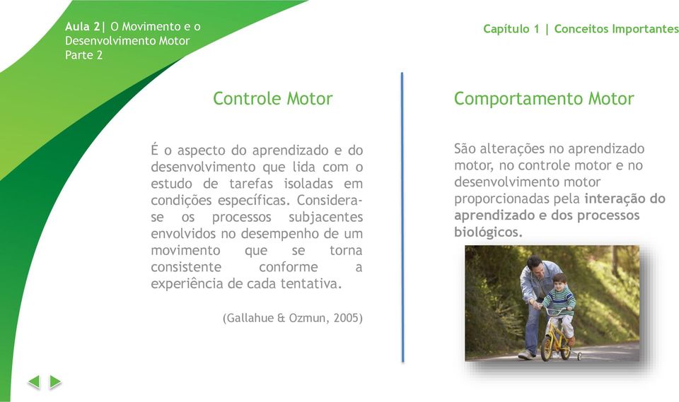 Considerase os processos subjacentes envolvidos no desempenho de um movimento que se torna consistente conforme a experiência