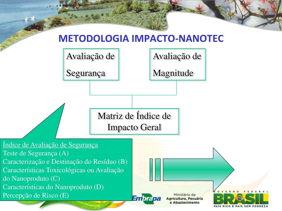 Resíduo (B) Características Toxicológicas ou Avaliação do Nanoproduto (C)