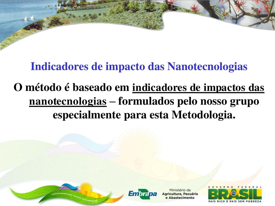 impactos das nanotecnologias formulados