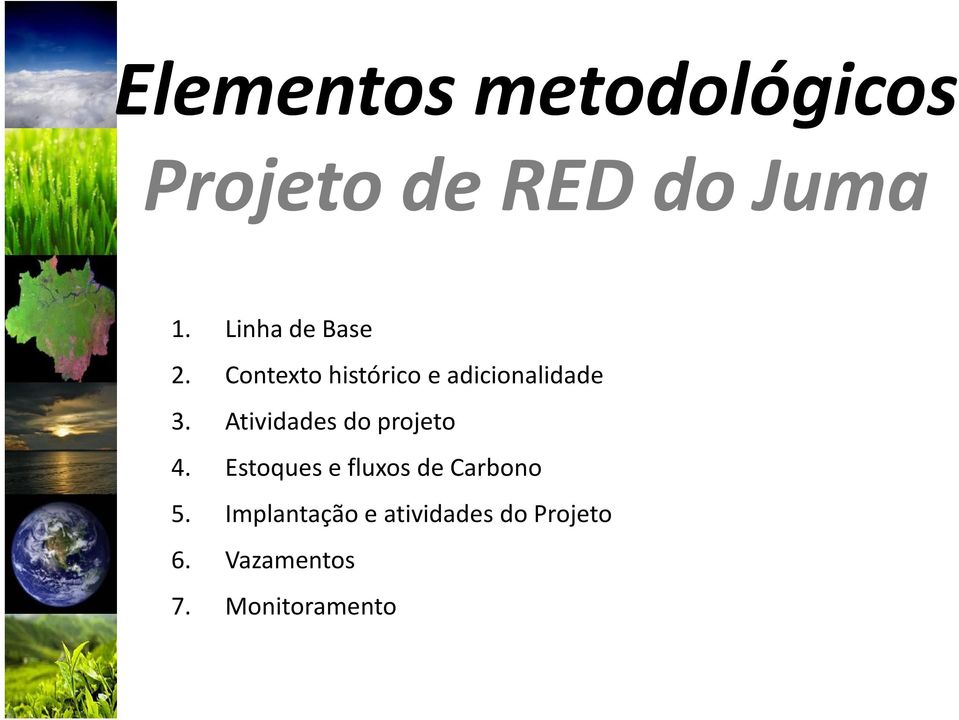 Atividades do projeto 4. Estoques e fluxos de Carbono 5.