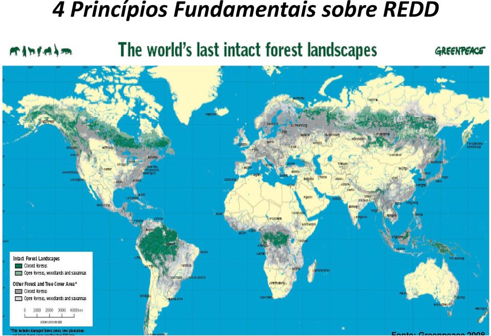 O desmatamento tem uma tendência histórica e crescente ( Linha de Base mundial de REDD ) 3.