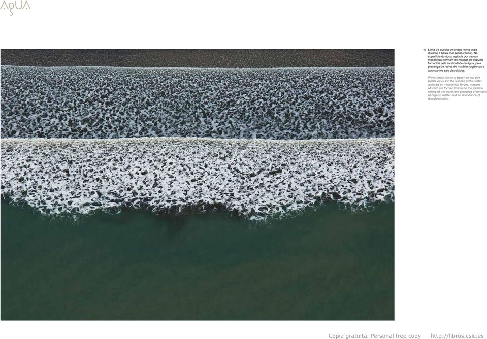 matérias orgânicas e abundantes sais dissolvidos. Wave-break line on a beach at low tide (aerial view).