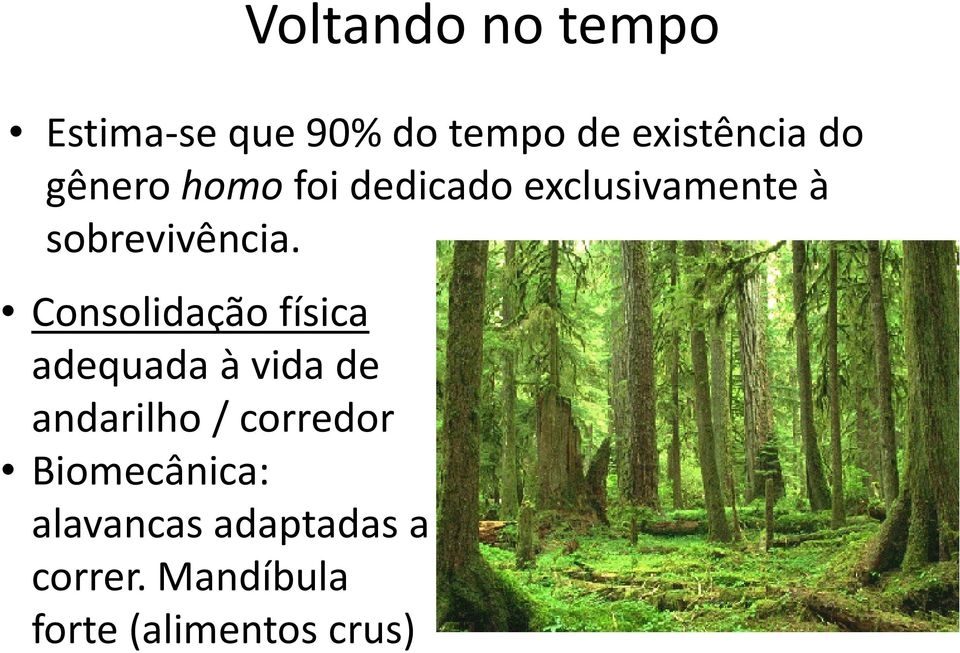 Consolidação física adequada à vida de andarilho / corredor