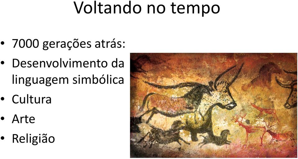 Desenvolvimento da