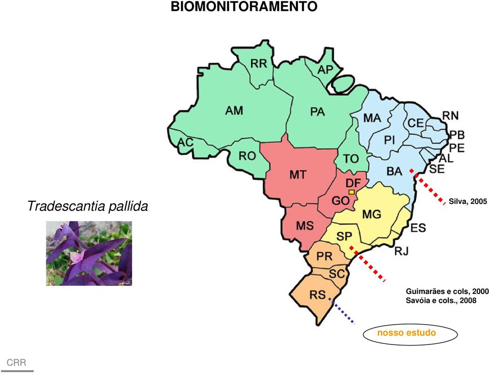 Silva, 2005 Guimarães e